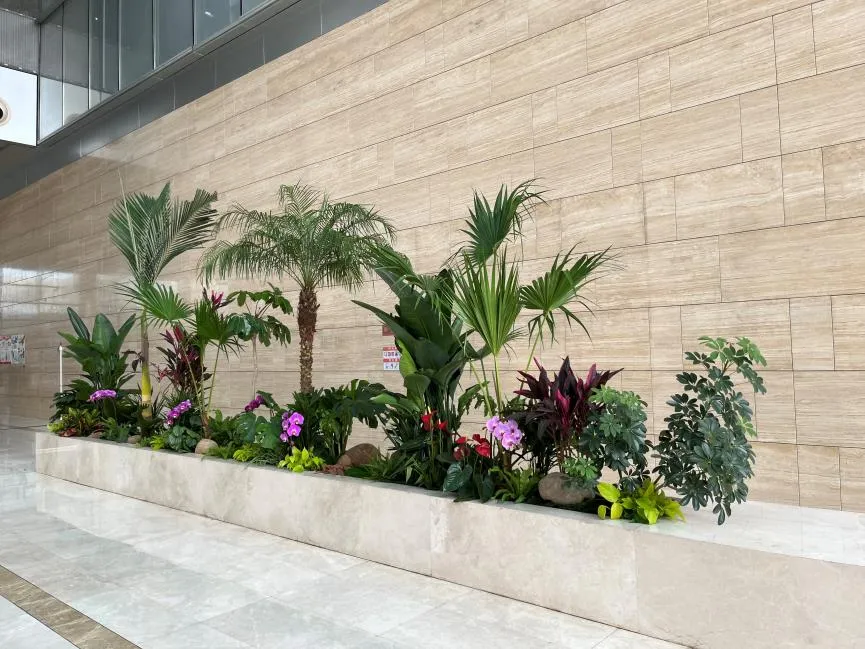 宁波北仑花木出租价格，你意想不到！